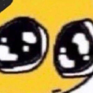 Meet your Posher, Addison